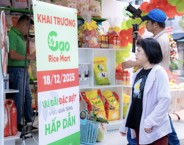 Gạo Sạch TPHCM Là Gì? Cách Nhận Biết Gạo Sạch – Gạo Pha Trộn